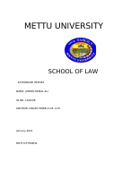 metu extern report.pdf